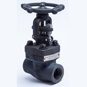 Globe Valves | Product Category | Armstrong Flow Control